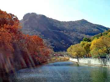 澳门二四六天天彩图库，小说都市艳帝